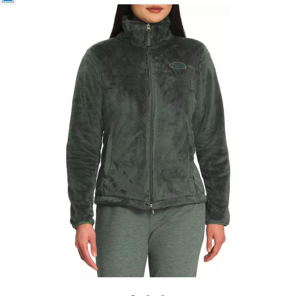 the north face hooded osito fleece jacket